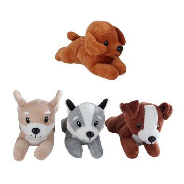 Take Me Home Plush Toy - Dog, 20cm