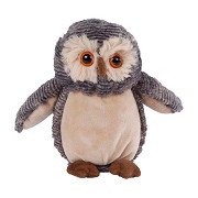 Take Me Home Owl Cuddly Plush, 18cm