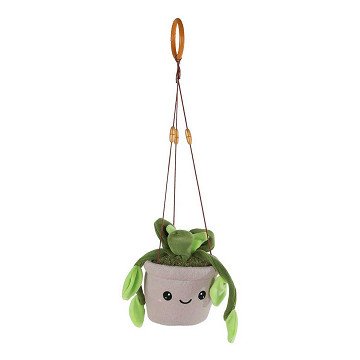 Take Me Home Hanging Plant Plush Light Green Leaves - 24cm