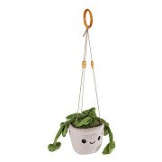 Take Me Home Hanging Plant Plush Green Leaves - 24cm
