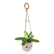 Take Me Home Hanging Plant Plush Green Standing - 24cm