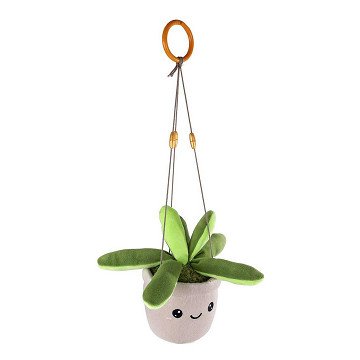 Take Me Home Hanging Plant Plush Green Standing - 24cm