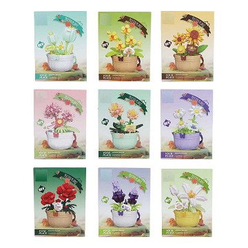 Topfpflanzen-Bausatz