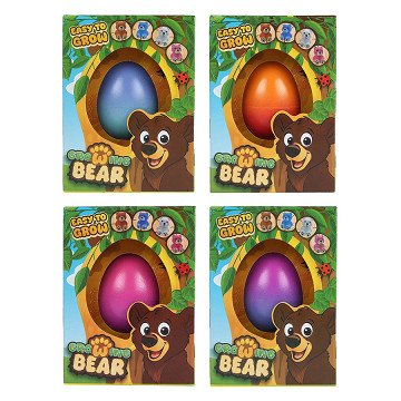 Growing Teddy Bear in Egg