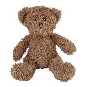 Take Me Home Plush Teddy Bear - 30cm Brown