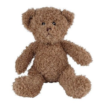 Take Me Home Plush Teddy Bear - 30cm Brown