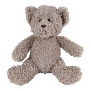 Take Me Home Bear Plush - 30cm Grey