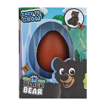 Schwarzbär wächst im Ei