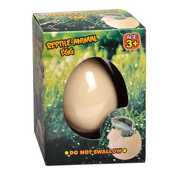Egg with Growing Reptiles