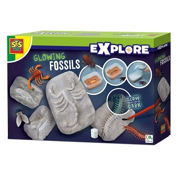 SES Glow in the Dark Fossilien