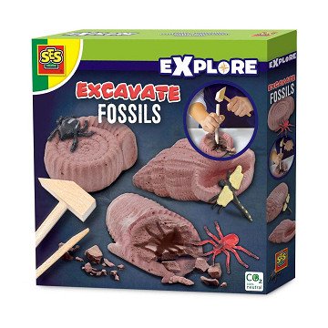 SES gräbt Fossilien aus