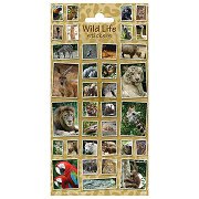 Wild Animals sticker sheet