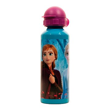 Trinkflasche Frozen 2 Edelstahl, 500ml