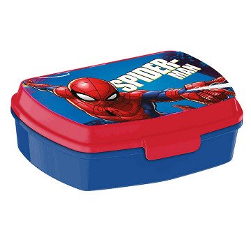 Spiderman lunch box