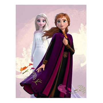 Frozen 2 Fleece blanket