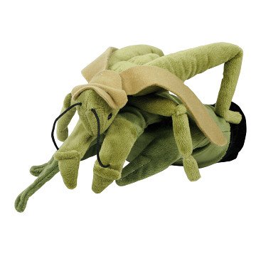 Beleduc Hand Puppet Grasshopper