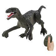 Gear2Play RC 2.4GHz Controllable Dino Raptor Robot