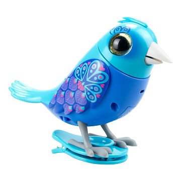 DigiBirds Hummingbird Vogel Interactief