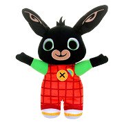 Talking Rainbow Bing Plush