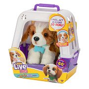 Little Live Pets Mein wirklich echter Plüschtier im Käfig