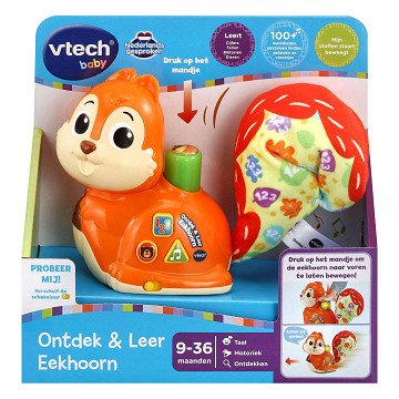 VTech Baby Discover & Learn Squirrel
