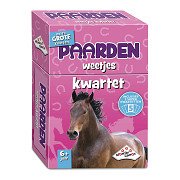 Paarden Weetjes Kwartet