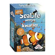 Sealife Facts Quartet