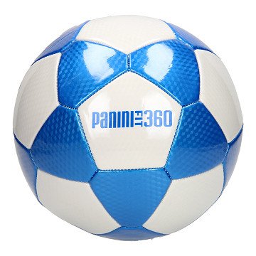 Panini Voetbal Leer