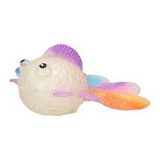 Regenbogenfisch quetschen