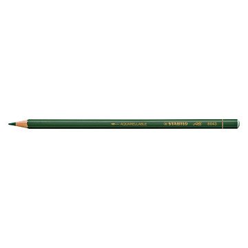 STABILO All glass pencil - Color and graphite pencil - Green