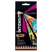 BIC Intensity Coloured Pencils, 12 pcs.