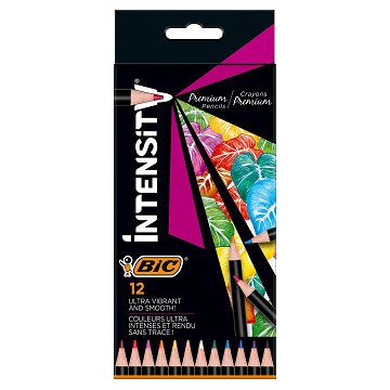 BIC Intensity Buntstifte, 12 Stk.