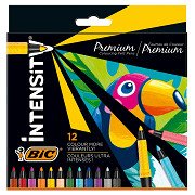 BIC Intensity Filzstifte Luxusbox, 12 Stk.