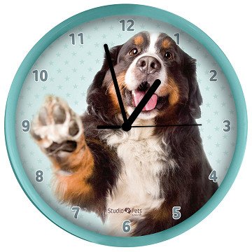 Klok Berner Sennen, 25cm