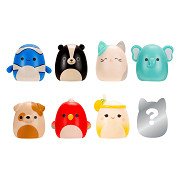 Squishmallows - Squish-a-longs Speelfiguren Style 4 - 8dlg.