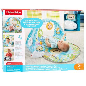 Fisher Price Butterfly Dreams Gym