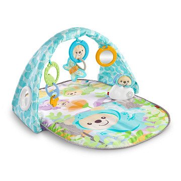Fisher Price Butterfly Dreams Gym