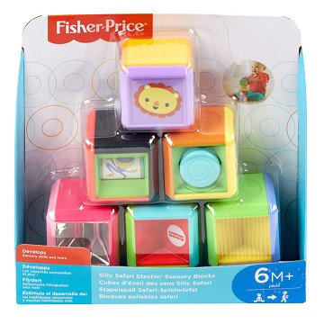 Fisher Price Animal Blocks, 6-piece.