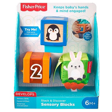 Fisher Price Stack & Explore Blocks