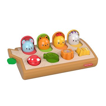 Fisher Price Kiekeboe Pop-Up