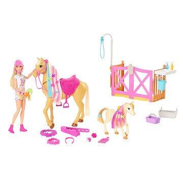 Barbie Horse Care Playset