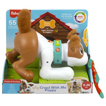 Fisher-Price - 123 Crawl With Me Puppy-DU