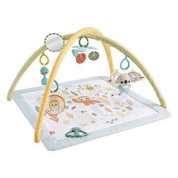 Fisher Price Simply Senses Babygymnastik