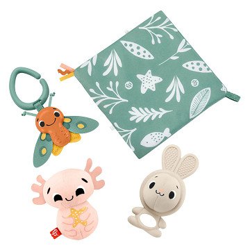 Fisher Price All Senses Gift Set