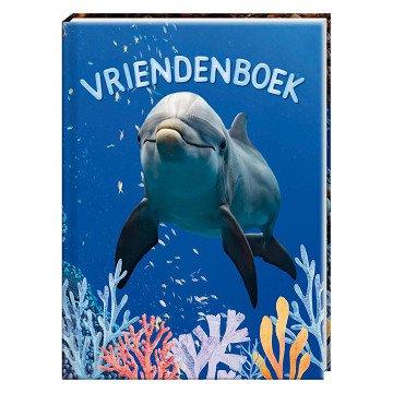 Dolphin Friends Book