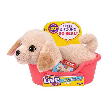 Little Live Pets My Really Real Puppy Mini Buddy