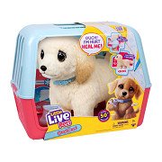 Little Live Pets Ouchies Puppy Cooper - Interactieve Knuffel