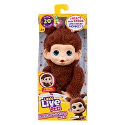Little Live Pets My Baby Mini Monkey Brown - Interactive Plush Toy