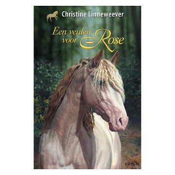 Golden Horses: A Foal for Rose
