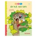Beschrijving afbeelding